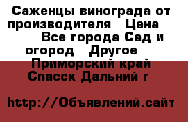 Саженцы винограда от производителя › Цена ­ 800 - Все города Сад и огород » Другое   . Приморский край,Спасск-Дальний г.